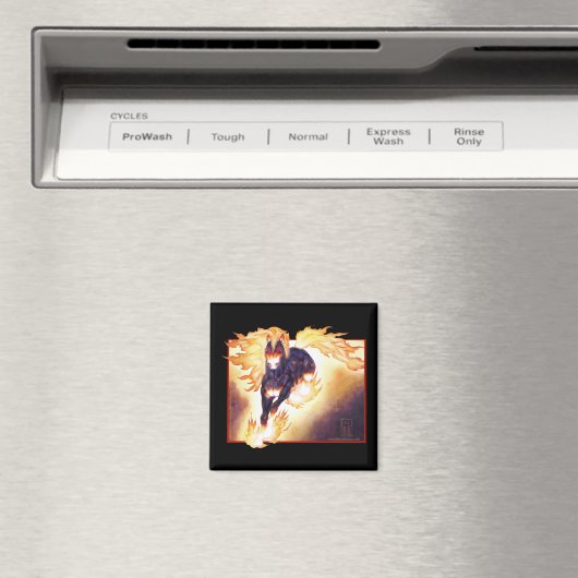 Nightmare Magneet (Insitu (Vaatwasser))