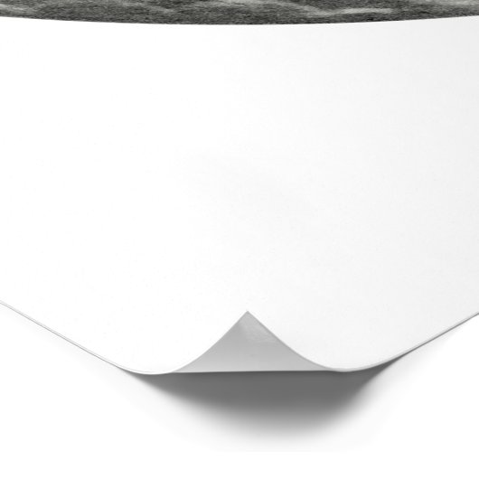 Nightmare/Mesa Pegasus Yin Yang in zwart-wit Poster (Hoek)