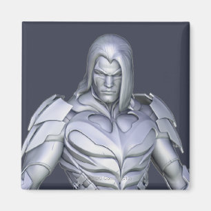 Nightwing Alternate Magneet