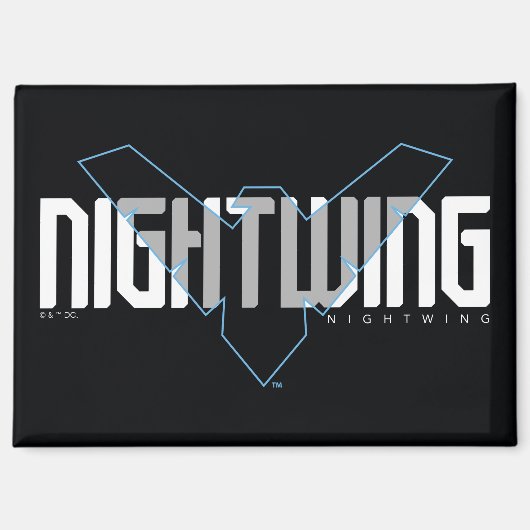 Nightwing Hi-Tech Naam Graphic Magneet (Voorkant)