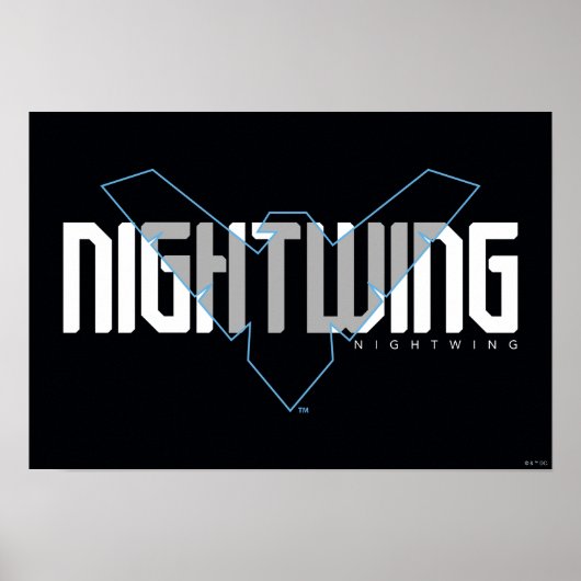Nightwing Hi-Tech Naam Graphic Poster (Voorkant)