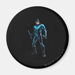Nightwing Stands Magneet