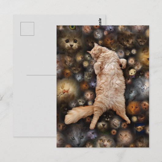 Nighty Nighty Kitty Cat, Briefkaart (Voorkant / Achterkant)