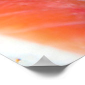 Nigiri en Maki Poster (Hoek)