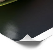 Nigiri sushi on a leaf – minimalist sushi art perfect poster (Hoek)