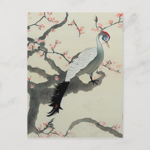 Nihonga Japan Traditional Bird Cherry Blossom Briefkaart
