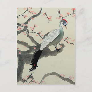 Nihonga Japan Traditional Bird Cherry Blossom Briefkaart
