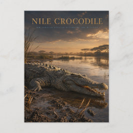 Nijl krokodil Afrikaanse rivier DIEREN Briefkaart