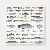 Nijlbekken Visgroep Magneet (Voorkant)