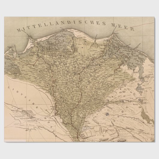  Nijldelta 1859 Cadeaupapier (Vlak)