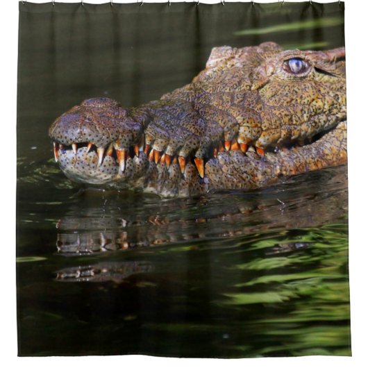 Nijlkrokodil Douchegordijn (Voorkant)