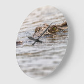 Nijlkrokodil Grote Klok (Hoek)