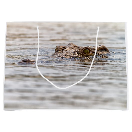 Nijlkrokodil Large Cadeautasje (Voorkant)