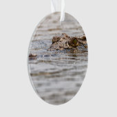 Nijlkrokodil Ornament (voorkant)