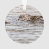 Nijlkrokodil Ornament (achterkant)