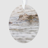 Nijlkrokodil Ornament (voorkant)