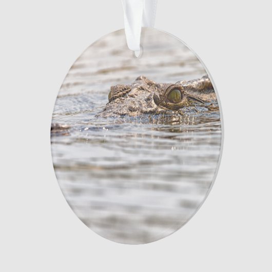 Nijlkrokodil Ornament (voorkant)