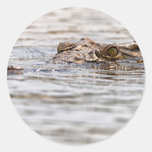 Nijlkrokodil Ronde Sticker (Voorkant)