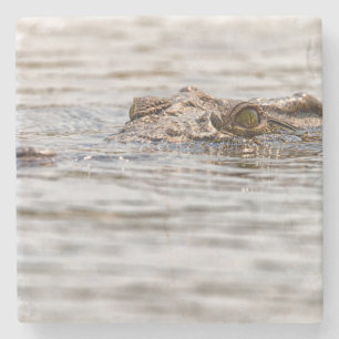 Nijlkrokodil Stenen Onderzetter