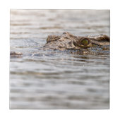 Nijlkrokodil Tegeltje (Voorkant)