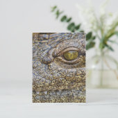 Nijlkrokodil uit Afrika Briefkaart (Staand voorkant)