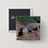 Nijlkrokodil Vierkante Button 5,1 Cm (Voorkant /achterkant)