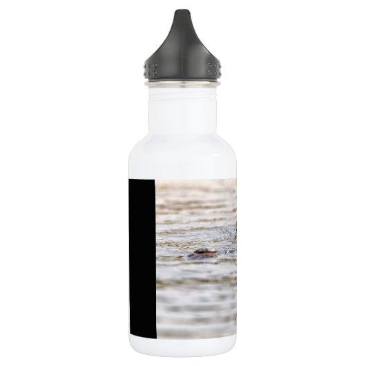 Nijlkrokodil Waterfles (Links)