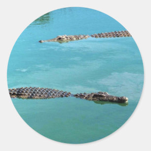 Nijlkrokodilen Ronde Sticker