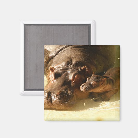 nijlmagneet magneet (Voorkant / Achterkant)