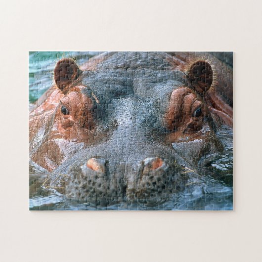 Nijlpaard #1 legpuzzel (Horizontaal)