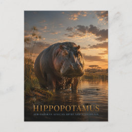 Nijlpaard Afrikaanse rivier DIEREN Briefkaart