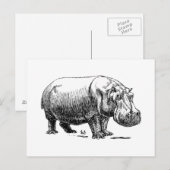 Nijlpaard Briefkaart (Voorkant / Achterkant)