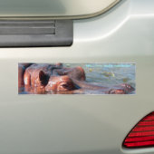 Nijlpaard bumpersticker (Op auto)
