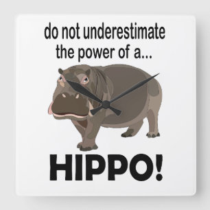 Nijlpaard Dier Grappig Nijlpaard Vierkante Klok