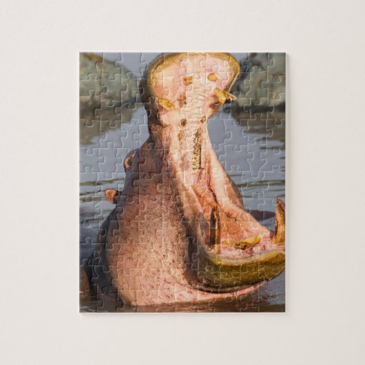 Nijlpaard gaapt, Tanzania Legpuzzel (Verticaal)