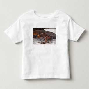 Nijlpaard, Hippopotamus amphibius, Meer Kinder Shirts
