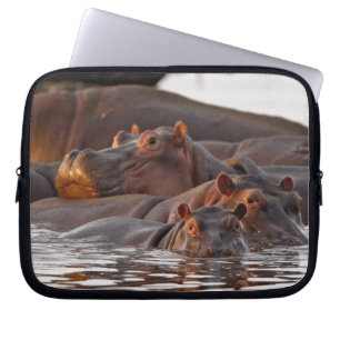 Nijlpaard, Hippopotamus amphibius, Meer Laptop Sleeve