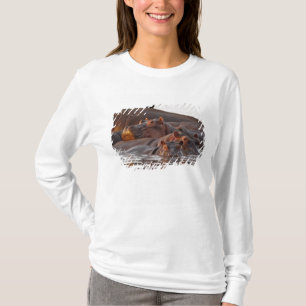 Nijlpaard, Hippopotamus amphibius, Meer T-shirt