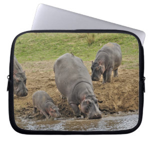 Nijlpaard, Hippopotamus amphibius, Serengeti Laptop Sleeve