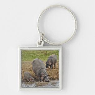 Nijlpaard, Hippopotamus amphibius, Serengeti Sleutelhanger