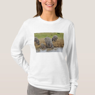 Nijlpaard, Hippopotamus amphibius, Serengeti T-shirt