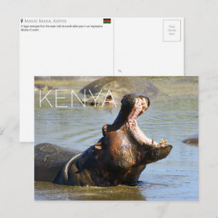 Nijlpaard in Masai Mara, Kenia Reisansichtkaart Briefkaart