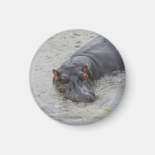 nijlpaard magneet