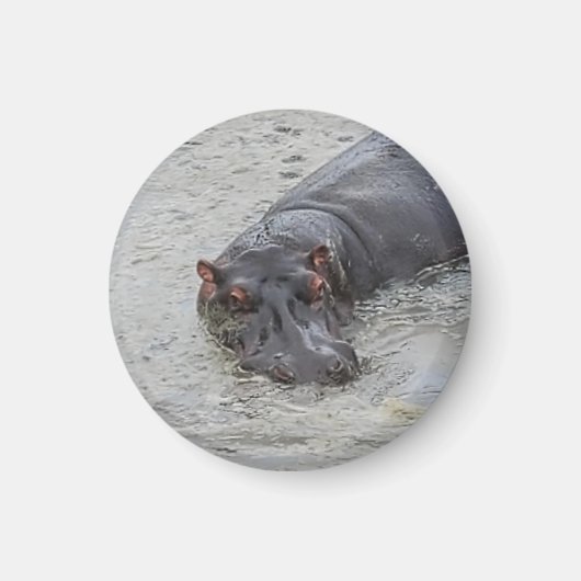 nijlpaard magneet (Voorkant)