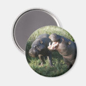 Nijlpaard Magneet (Voorkant / Achterkant)