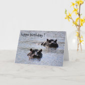 nijlpaard verjaardag kaart (Gele Bloem)