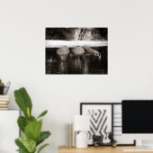 Nijlpaarden die rusten in zwart en wit water poster (Thuiskantoor)