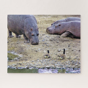 NIJLPAARDEN LEGPUZZEL
