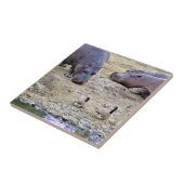 NIJLPAARDEN TEGELTJE (Zijkant)