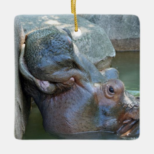 Nijlpaardornament Keramisch Ornament (Voorkant)